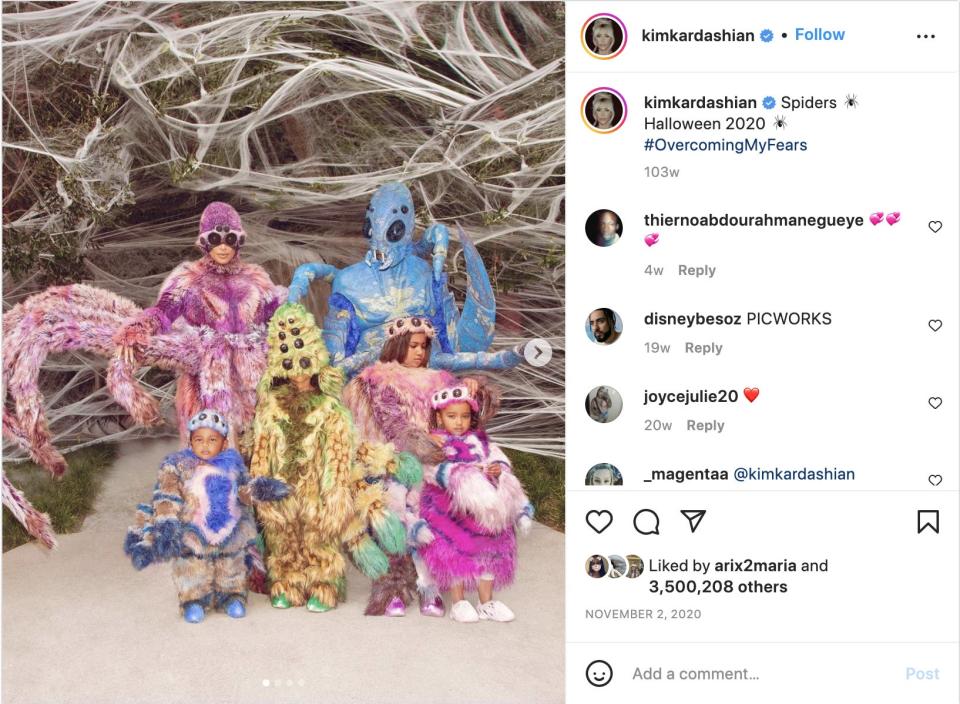 Kim Kardashian and her family dressed as fuzzy spiders on Halloween in 2020.