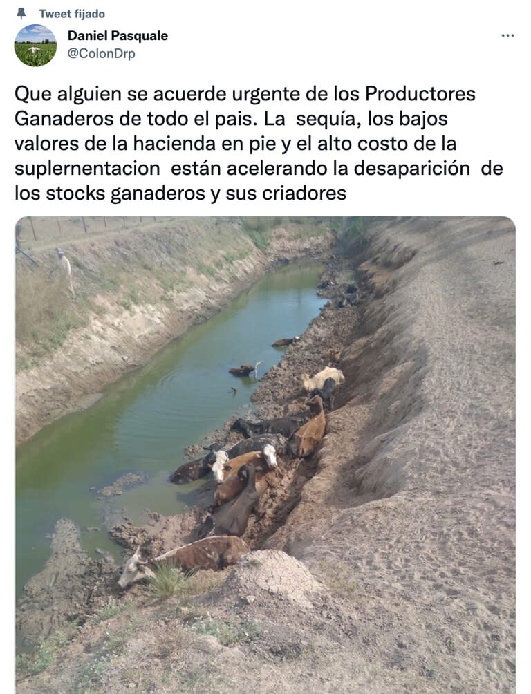 Animales sobre un río