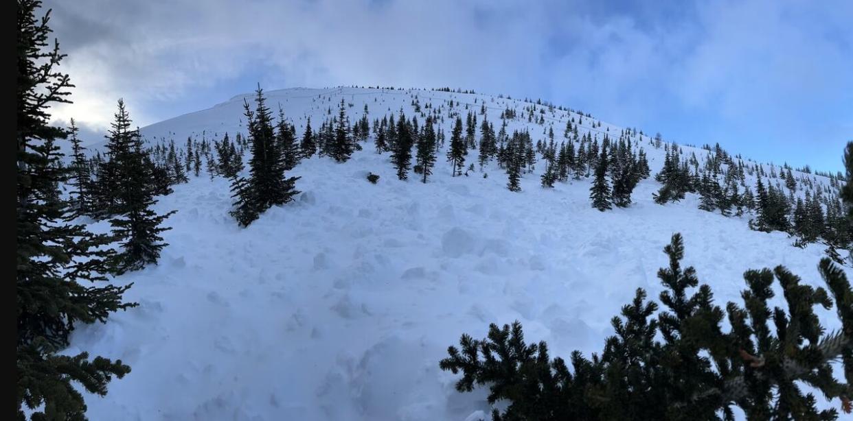 A view of the debris after a fatal avalanche on a mountain known as The Tower in Alberta's Kananaskis Country. (Avalanche Canada - image credit)