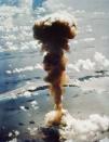 Aerial view of the Able mushroom cloud rising from the lagoon with the Bikini Island visible in the background. The cloud carried the radioactive contaminants into the stratosphere. Operation Crossroads "Baker" shot, 1946, Bikini Atoll. (Image courtesy of US Govt. Defense Threat Reduction Agency.)