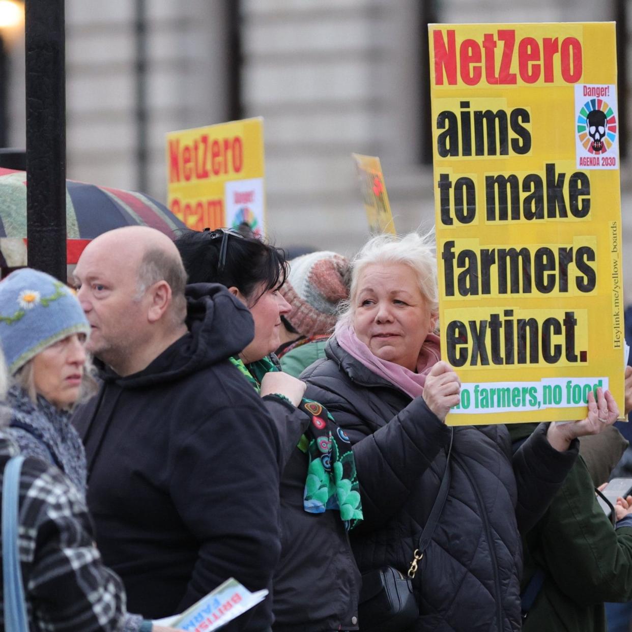 The groups which organised the protest say cheap food imports and unsupportive policies put UK food security at risk