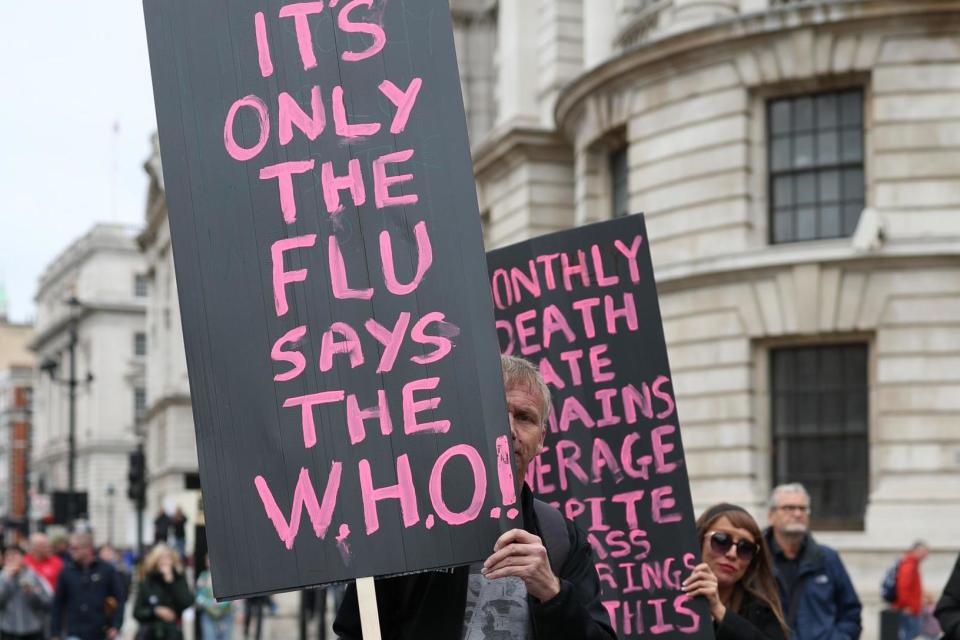 The protesters carried signs claiming the virus is 'just the flu' (PA)