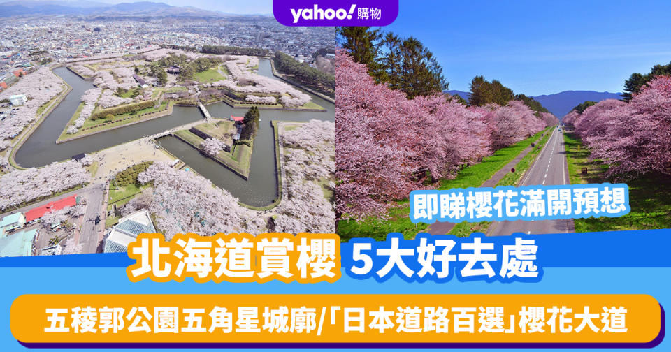 北海道櫻花2024｜賞櫻5大好去處！五稜郭公園五角星城廓/「日本道路百選」7KM櫻花大道+櫻花祭典（附北海道櫻花預想）