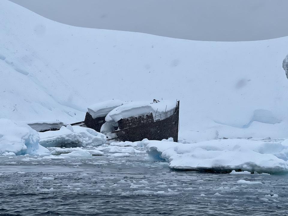 One zodiac cruise destination was a 1915 shipwreck. The ship is called the Guvernøren and intentionally beached itself at Foyn Harbour after catching fire.