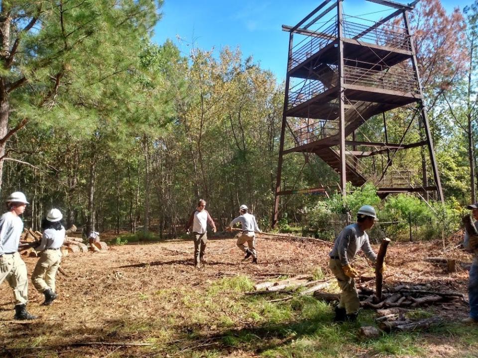 AmeriCorps volunteers clear limbs and debris in front of the Mississippi River Basin Model’s 40-foot observation tower in west Jackson.