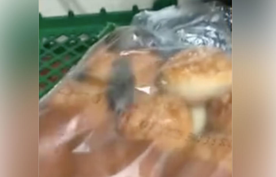 A customer filmed two rodents crawling through bread at a Burger King store in Delaware, US, and shared the shocking footage to Facebook, prompting health inspectors to take action. Source: Shantel Johnson / Facebook