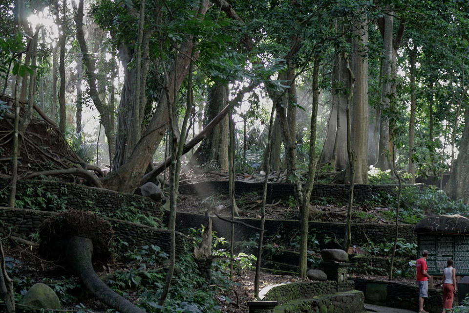 聖猴森林庇護所 (Photo by Merbabu, License: CC BY-SA 3.0, Wikimedia Commons提供)