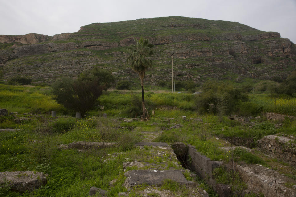 At the foot of Mount Bernice, stones from the Al-Juma (Friday) Mosque are visible through overgrown plants, in Tiberias, northern Israel, Wednesday, Jan. 27, 2021. Archaeologists said recent excavations at the ancient city of Tiberias have discovered the remnants of one of the earliest mosques in the Islamic world. The foundations of the Muslim house of worship date to the late 7th century. (AP Photo/Maya Alleruzzo)