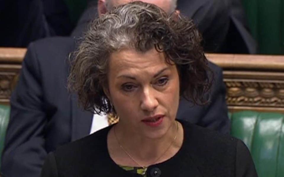 Sarah Champion said charities needed to follow the example of the Catholic Church in facing up to years of abuse within their organisations - House of Commons/PA