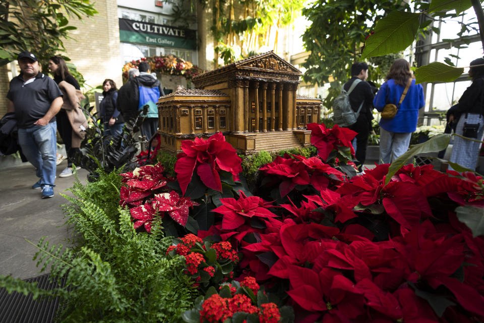 Varias personas observan una réplica de la Corte Suprema de Estados Unidos adornada con distintas variedades de poinsettias, en el Jardín Botánico de Washington D.C, el sábado 16 de diciembre de 2023. (AP Foto/Manuel Balce Ceneta)