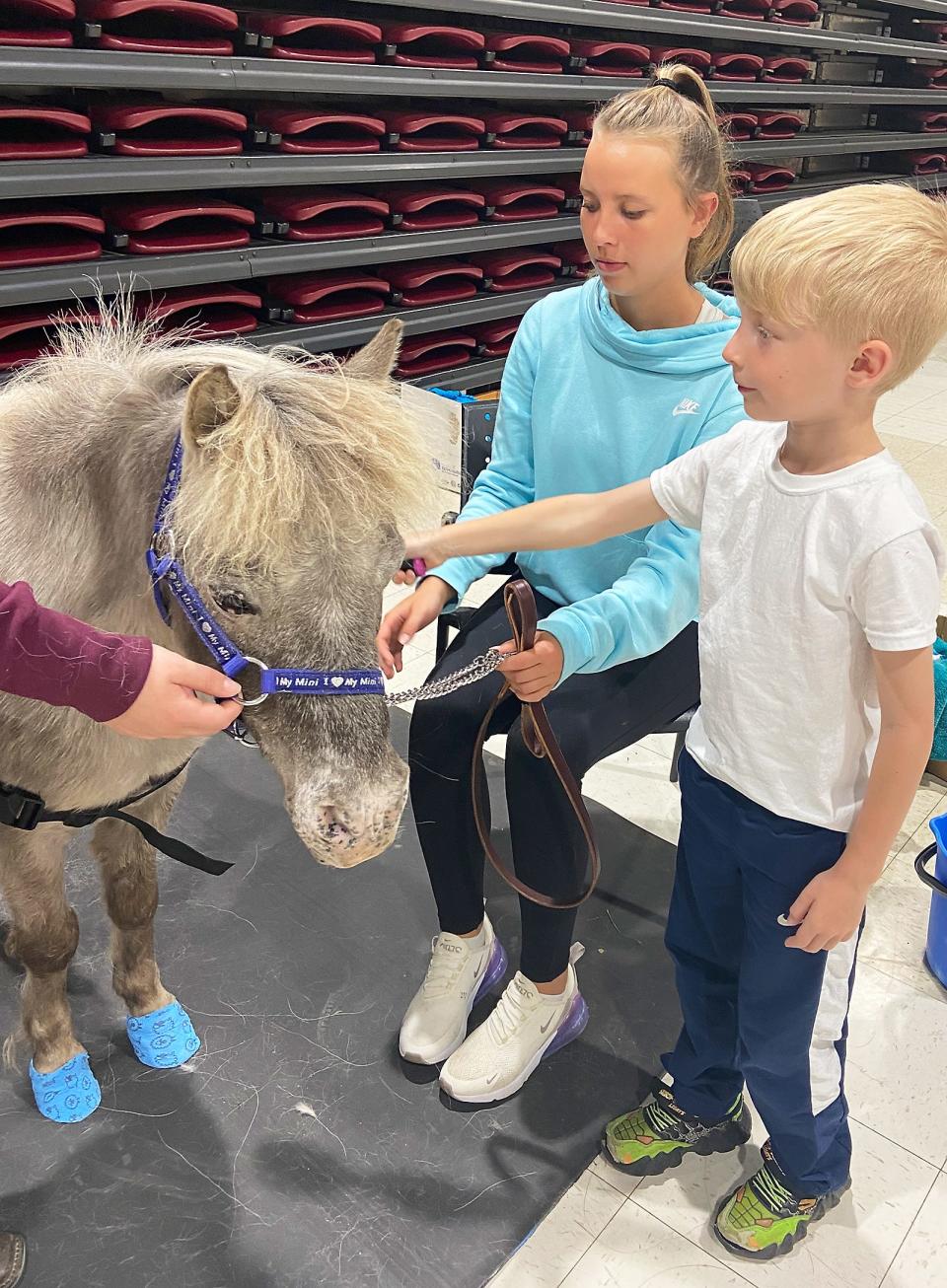 Students also had the chance to groom a miniature horse.