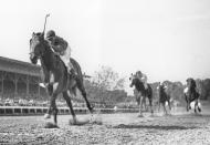 FILE - Citation, ridden by Eddie Arcado, races home an easy winner in the $100,000 added Belmont Stakes at Belmont Park race track in Elmont, N.Y. on June 12, 1948. Better Self, on rail, ridden by Warren Mehrtens, was second, six lengths away. Escadru, left, was third. Citation won the race and the Triple Crown. The Belmont Stakes is the final Triple Crown race before new federal regulations going into effect for horse racing across the United States. (AP Photo/File)