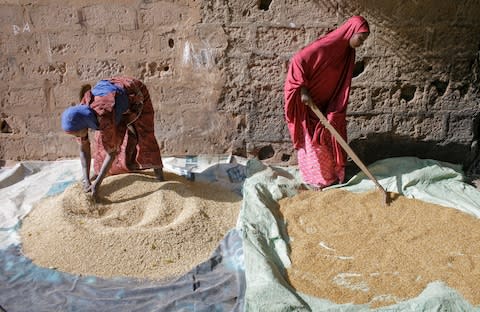 Women dry parboiled rice in the sun - Credit: Thomas Imo