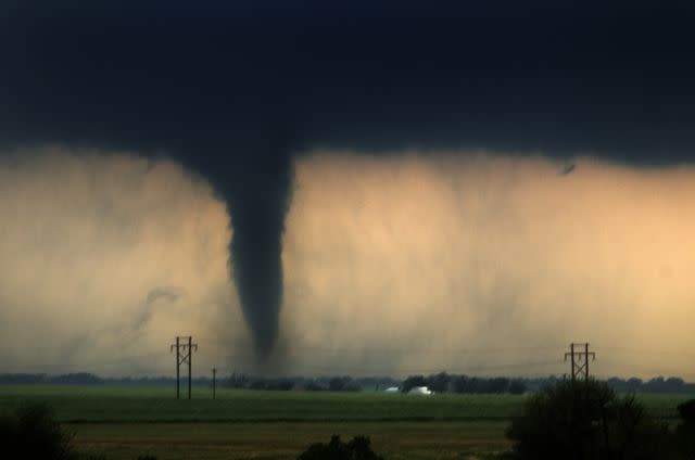 <p>Warren Faidley/Getty Images</p>