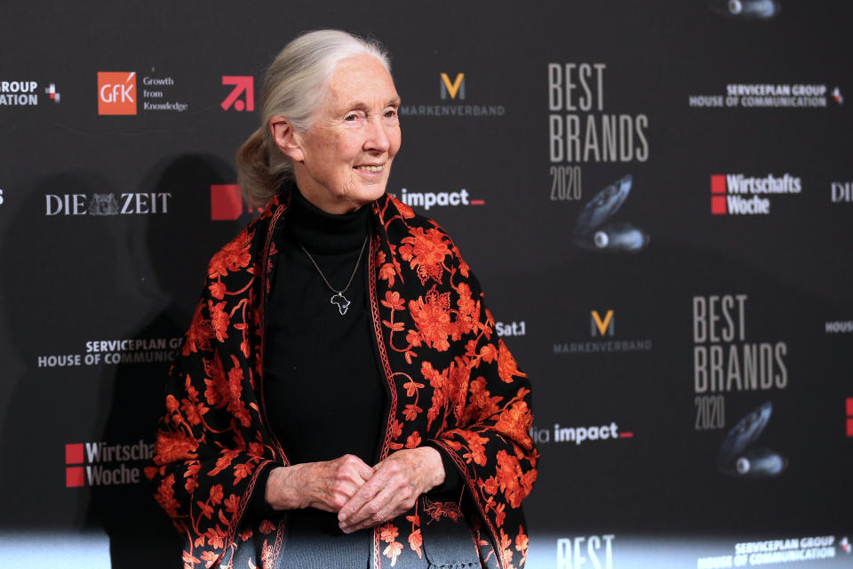 Dr. Jane Goodall during the 