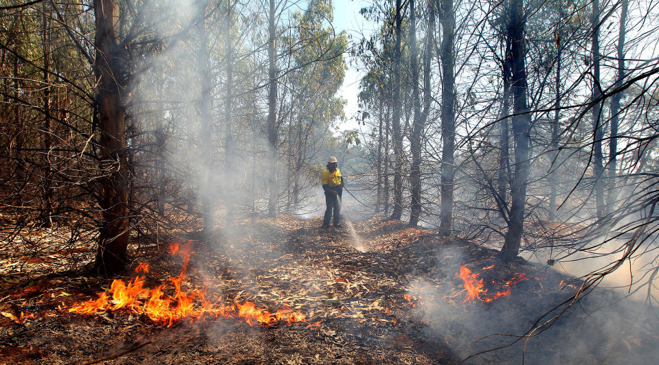 A firefighter battles with flames in a Eucalyptus plantation in Ouse, Tasmania Smoke rises from a burning property in Dunalley, Tasmania (Sam Rosewarne/Newspix/Rex Features)