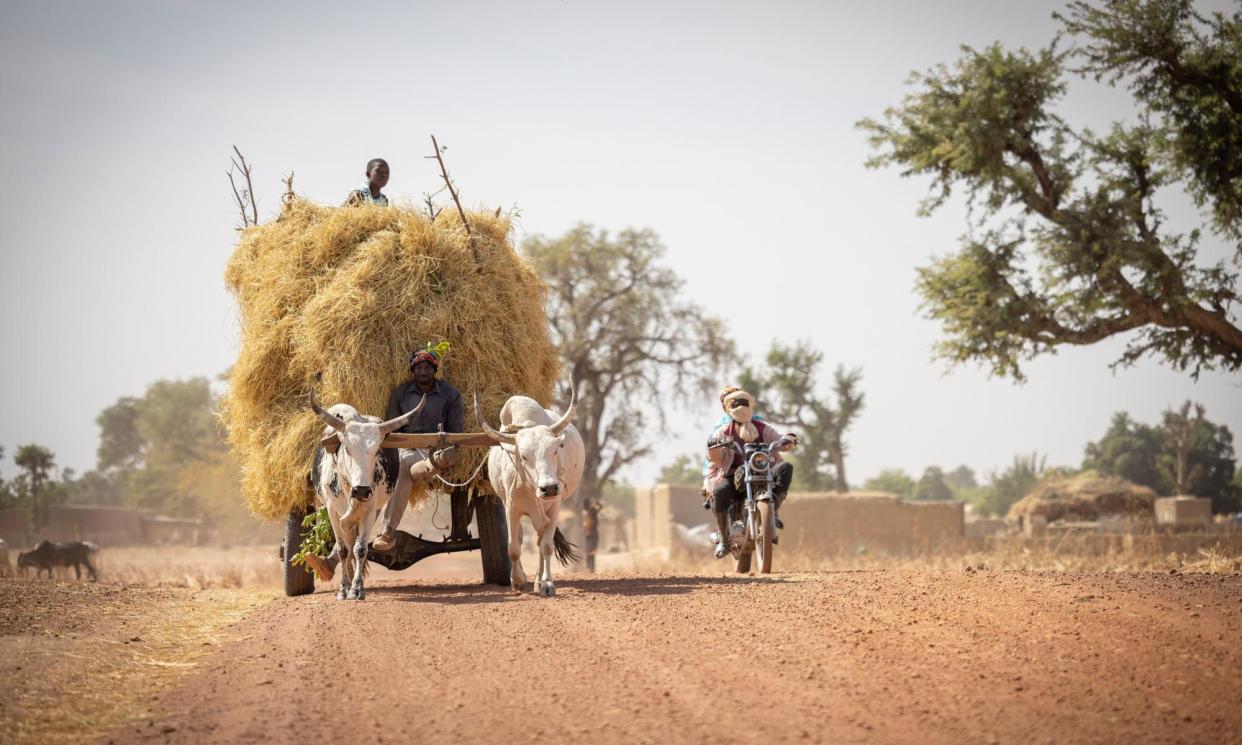 <span>A haycart in northern Mali during the country’s 2022 drought. The country recorded its hottest ever day this month.</span><span>Photograph: Jake Lyell/Alamy</span>