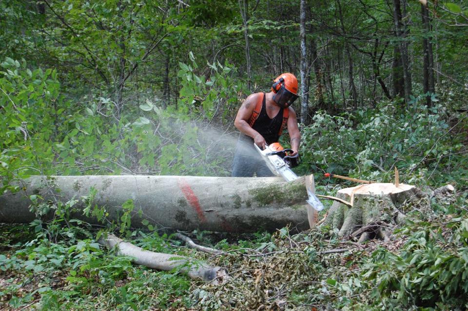 Keith Klitz is a Menominee “hand-sawer,” or lumberjack, employing careful techniques to target certain trees for harvesting from the Menominee Forest. Menominee Tribal Enterprises is a grant partner of the Wisconsin Forestry Center's new Forest Industry Workforce Recruitment and Development Initiative.