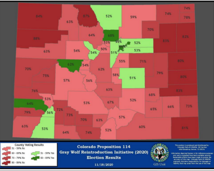 A look at how Colorado counties voted on Proposition 114, which passed 51% to 49% in favor of reintroducing wolves to the state.