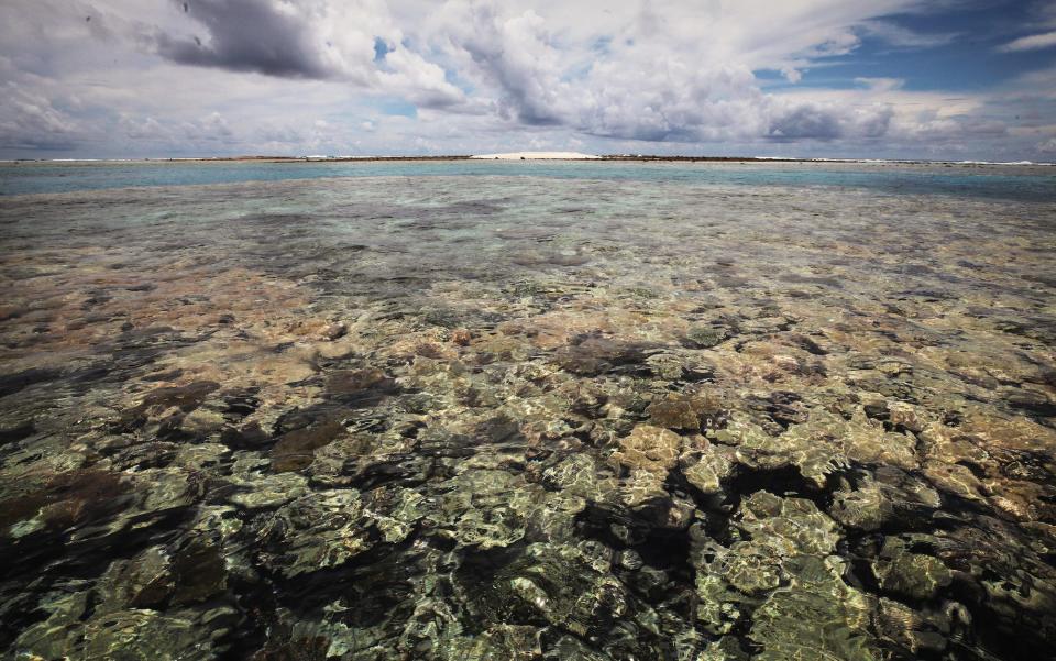 Coral is viewed beneath the water near a barren islet in the Funafuti atoll on November 26, 2019 in Funafuti, Tuvalu.