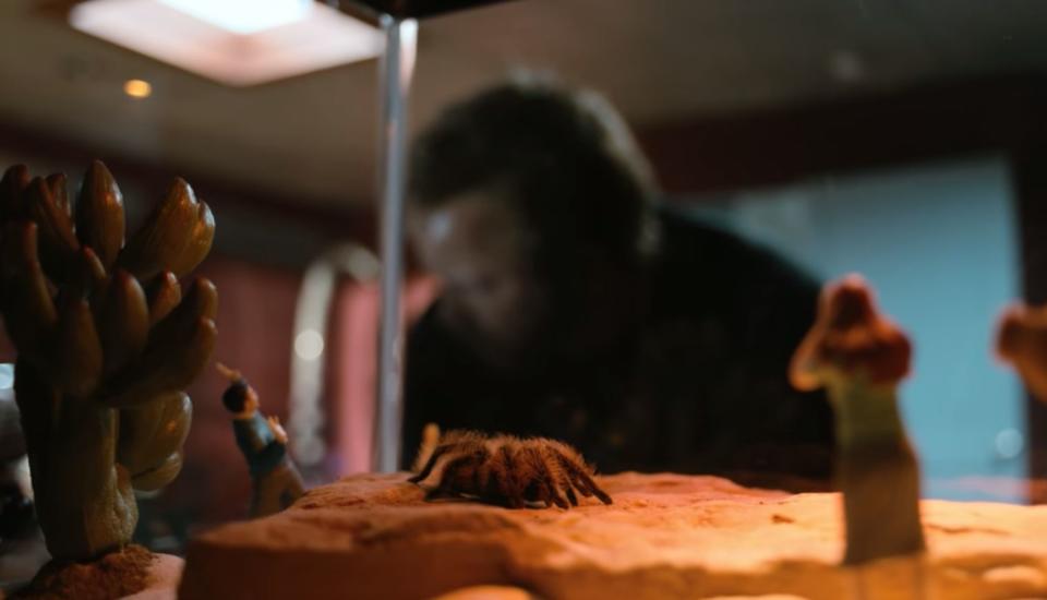 After Todd shockingly killed the young boy Drew Sharp (Samuel Webb) in Season 5 following the train heist, he kept Drew's tarantula. <br /><br />You can see the tarantula again in Todd's pastel apartment.