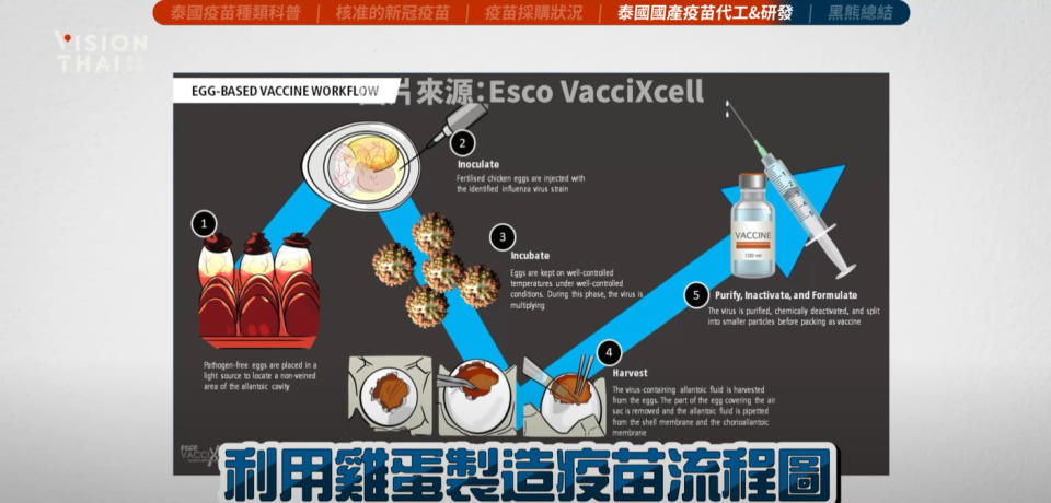 「複製性病毒載體」疫苗(Replicating Viral Vector)有個特色，是利用低成本、且常見的材料所製造，那就是「雞蛋」（圖片來源：VISION THAI看見泰國）