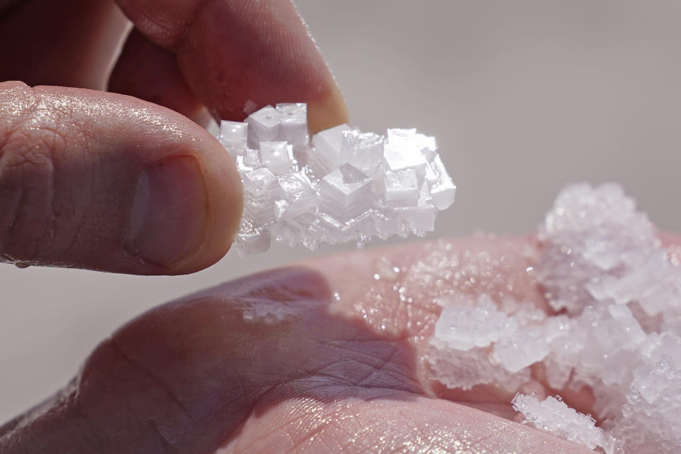 Jeremiah Bernau, a Utah State biologist, holds salt crystals at the Bonneville Salt Flats on Monday, Aug. 29, 2022, near Wendover, Utah. The glistening white salt of the world famous area is shrinking near the Utah-Nevada line. (AP Photo/Rick Bowmer)