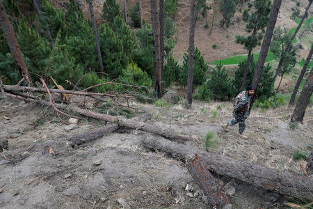 Pakistan's army soldier walks near the damaged trees, after Indian military aircrafts struck on February 26, according to Pakistani officials, in Jaba village, near Balakot, Pakistan, March 7, 2019. REUTERS/Akhtar Soomro