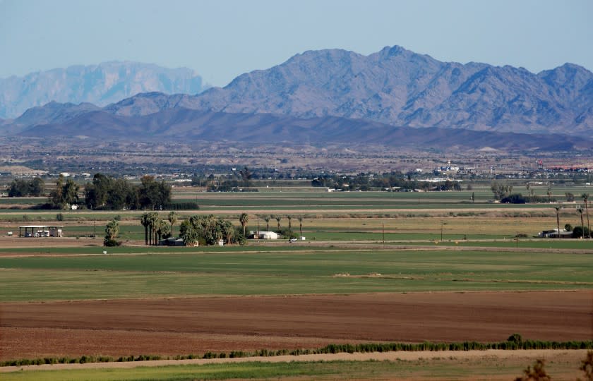 BLYTHE, CALIF. - SEP 7, 2021. Agricultural fields spread out across the Palo Verde Valley in Blythe. The Metropolitan Water District is working with local growers lto leave some of their fields fallow in exchange for cash payments. The desert agricultural industry in Blythe draws water from the nearby Colorado River, and the goal is for farmers to use less river water and allow unused supplies to serve the needs of people in urban areas downstream. (Luis Sinco / Los Angeles Times)