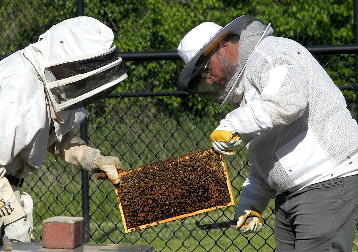 Ed Kedzierski, left, and Blake Wiehe lift a tray of bees into place as they construct a new hive.