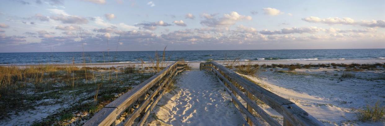 sandy walkway leading to a beach