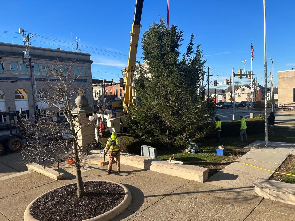 Making the tree stand tall for the holiday season in front of the Somerset County Courthouse.