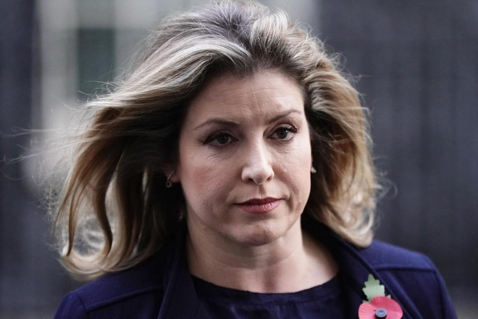 Penny Mordaunt is one of the senior figures who could lose their seat (PA Wire)