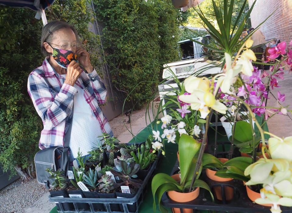 Mee Yoke looks at house plants for sale Aug. 13, 2020, at the Night Farmers Market at Yosemite Street Village's Umbrella Alley.