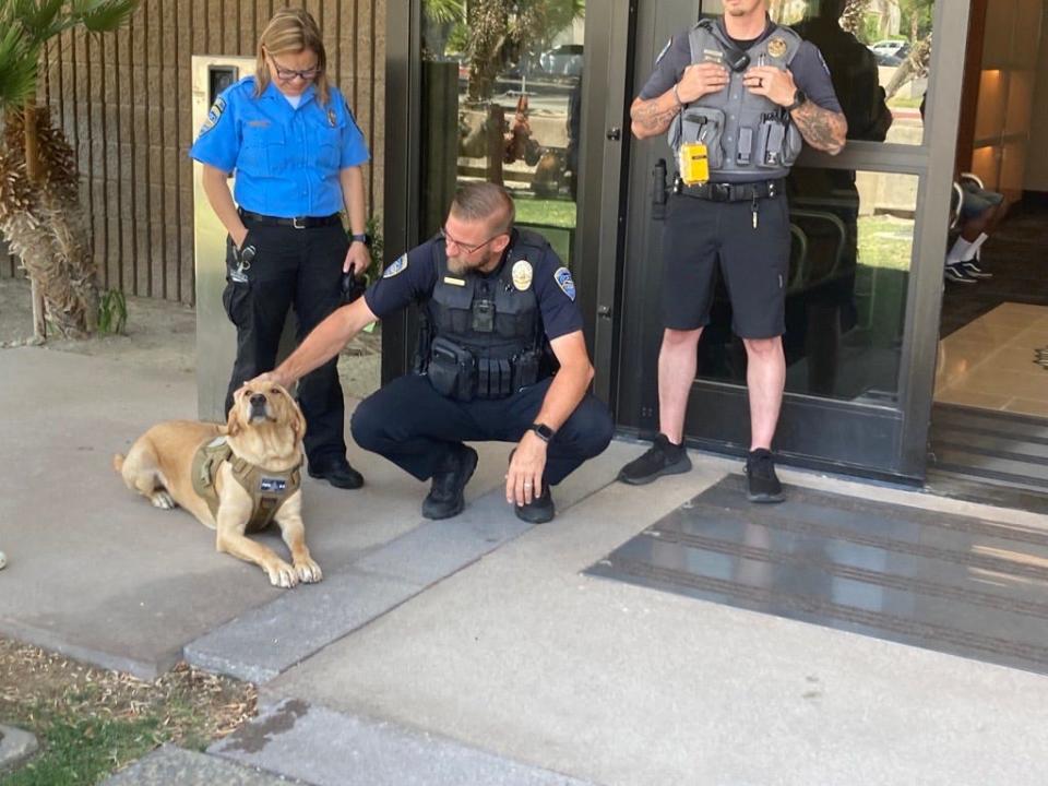 A Palm Springs police officer pets Finley, the department's new therapy dog.