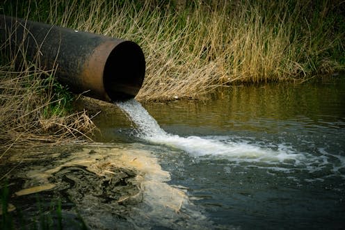 <span class="caption">Sewage fungus outbreaks are a sign that our freshwater ecosystems are unhealthy and polluted. </span> <span class="attribution"><a class="link " href="https://www.shutterstock.com/image-photo/draining-sewage-pipe-into-river-pollution-2163327235" rel="nofollow noopener" target="_blank" data-ylk="slk:Dmitriy Prayzel;elm:context_link;itc:0;sec:content-canvas">Dmitriy Prayzel</a></span>