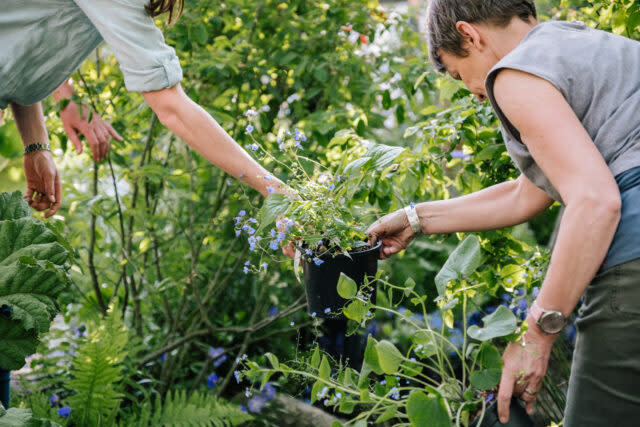 Kate's involvement with the 2019 RHS Garden at the Chelsea Flower Show was first revealed earlier in the year