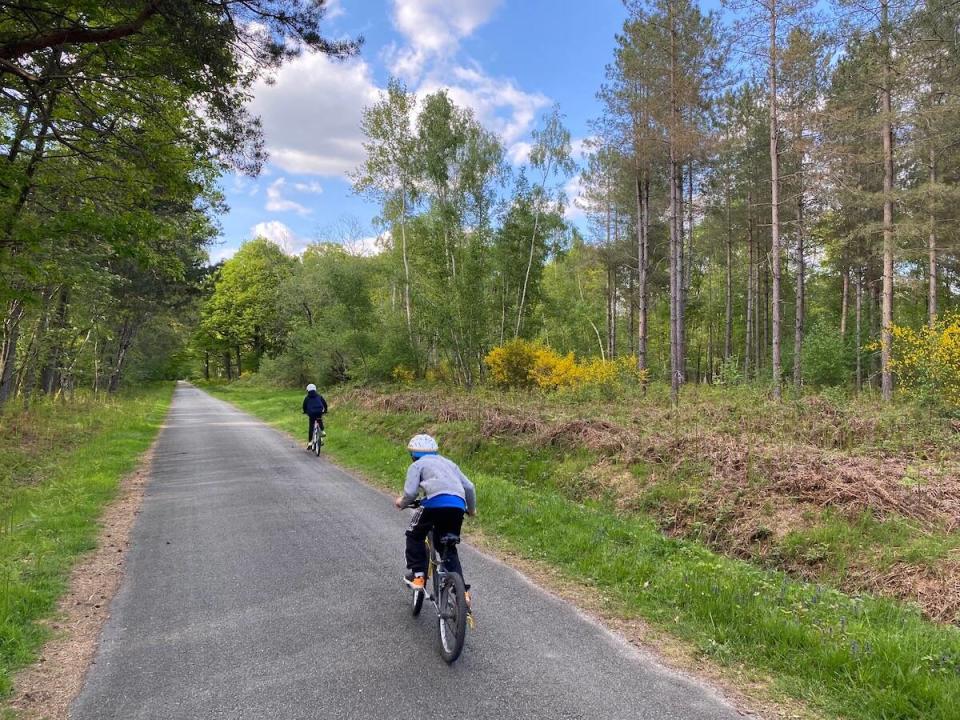 À vélo en forêt de Rambouillet, la forêt plus grande que Paris