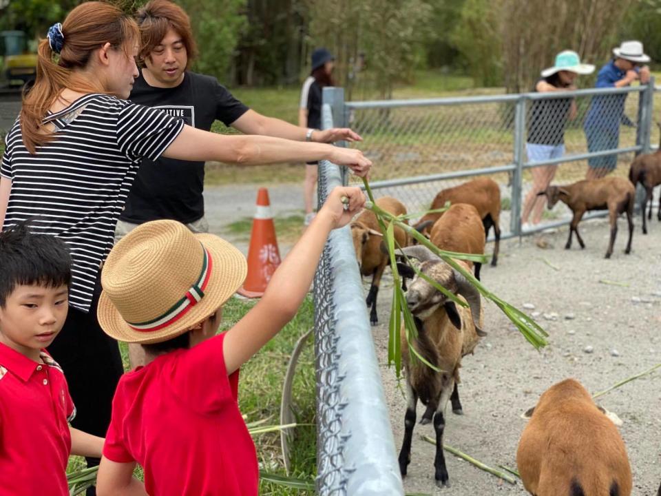 牛轉乾坤遊牧場!全台4大歐風牧場擠牛奶、餵牛寶寶喝ㄋㄟㄋㄟ