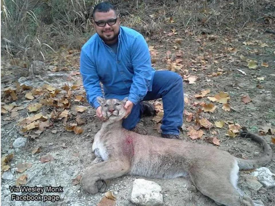 Wes Monk with 110-pound mountain lion he shot on private property while hunting for whitetail deer on Dec. 6, 2014.