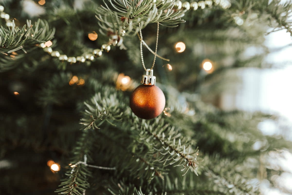 After the holidays, you can replant your Christmas tree to give it back to nature (Sandra Seitamaa/Unsplash)