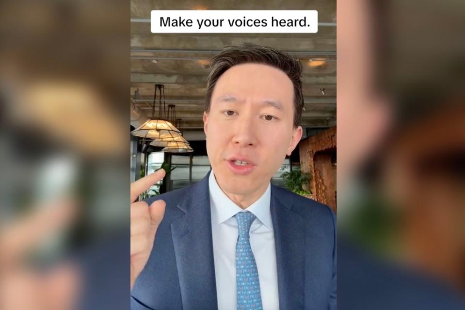 TikTok CEO Shou Chew posted a video urging users to make their voices heard. TikTok / @tiktok