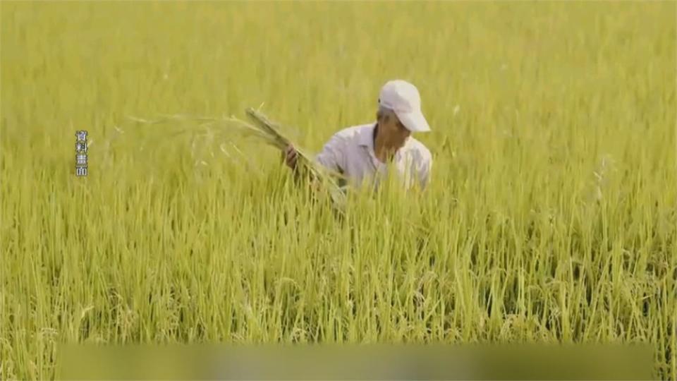 前國策顧問黃崑濱 台南老家逝世享耆壽93歲