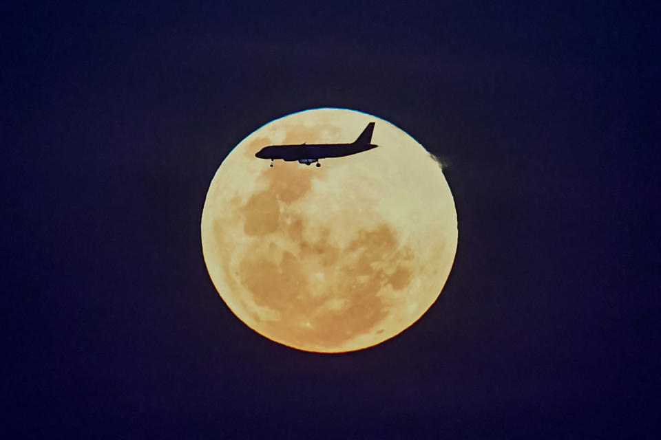 La Luna Gusano desde Singapur