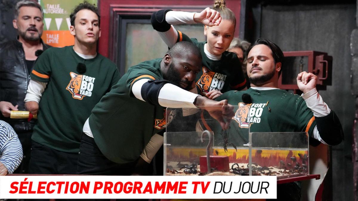 Fort Boyard, Les Bodin’s de tamaño natural… ¿qué hay en la televisión esta noche?