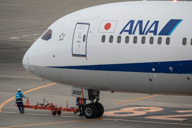 <p>RICHARD A. BROOKS/AFP via Getty Images</p> An All Nippon Airways (ANA) plane at Tokyo International Airport