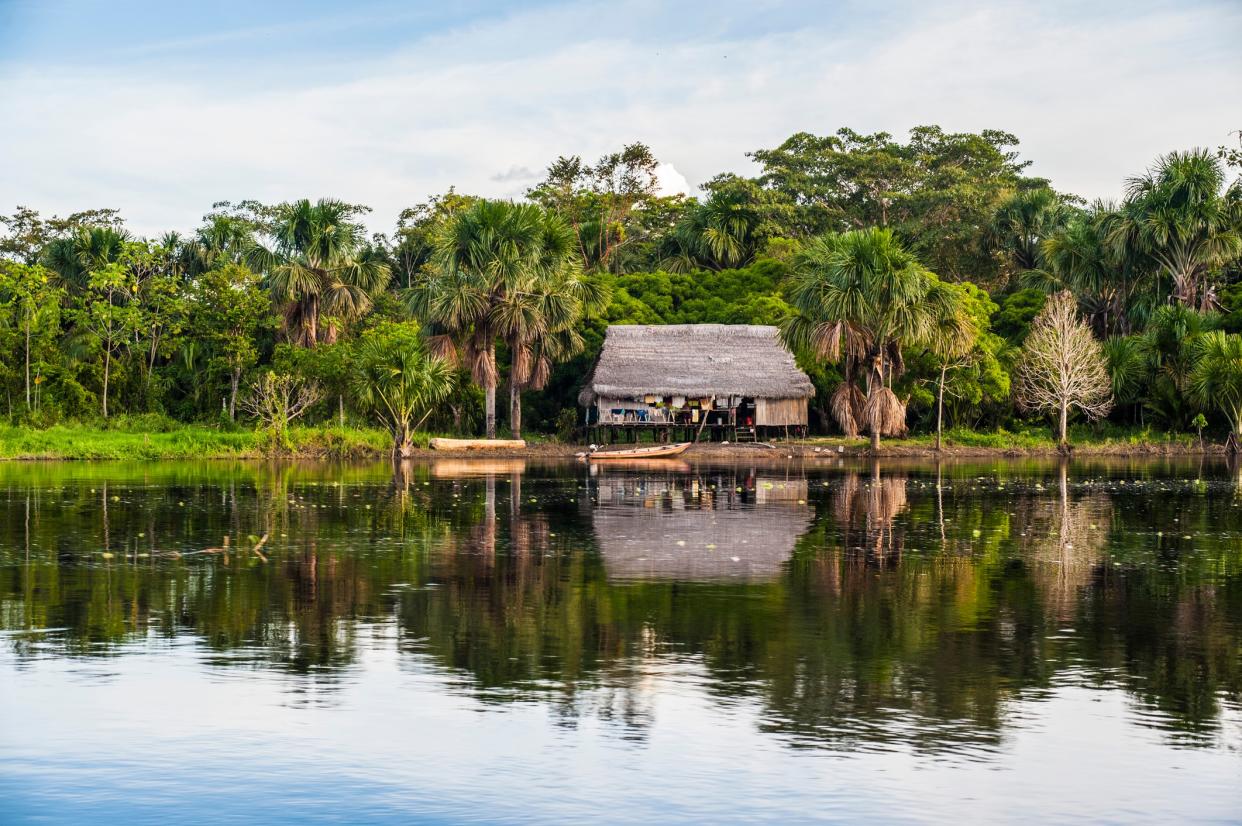 The Amazon flows through nine countries on its 4,000-mile journey - This content is subject to copyright.