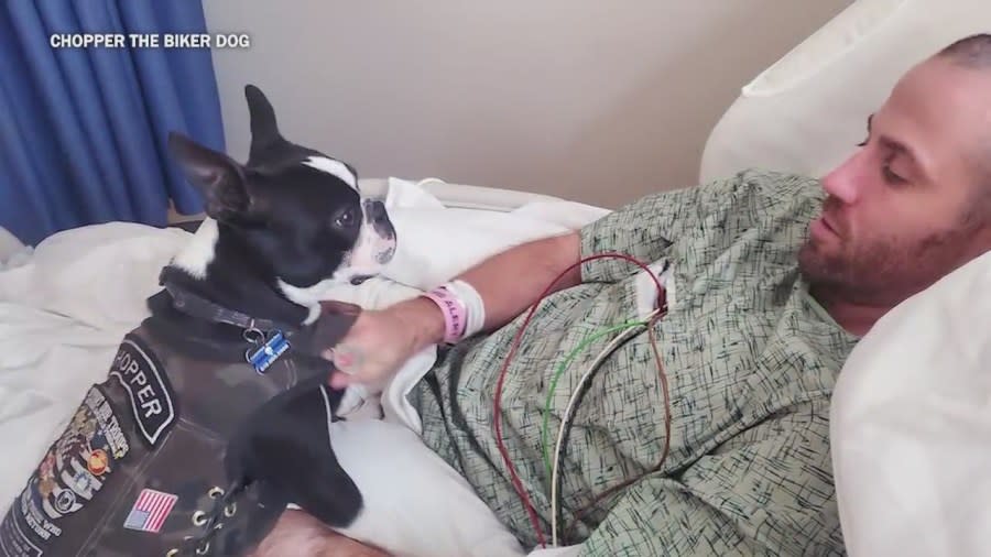 Chopper the Bike Dog visits with Sgt. Anthony Elliott as he lays on a hospital bed in La Jolla. (Courtesy of Chopper the Bike Dog)