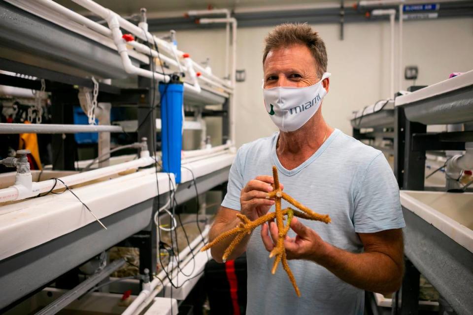 Diego Lirman, an associate professor at the Department of Marine Biology and Ecology, holds a staghorn coral at the Rescue a Reef lab at the University of Miami Rosenstiel School of Marine, Atmospheric and Earth Science.