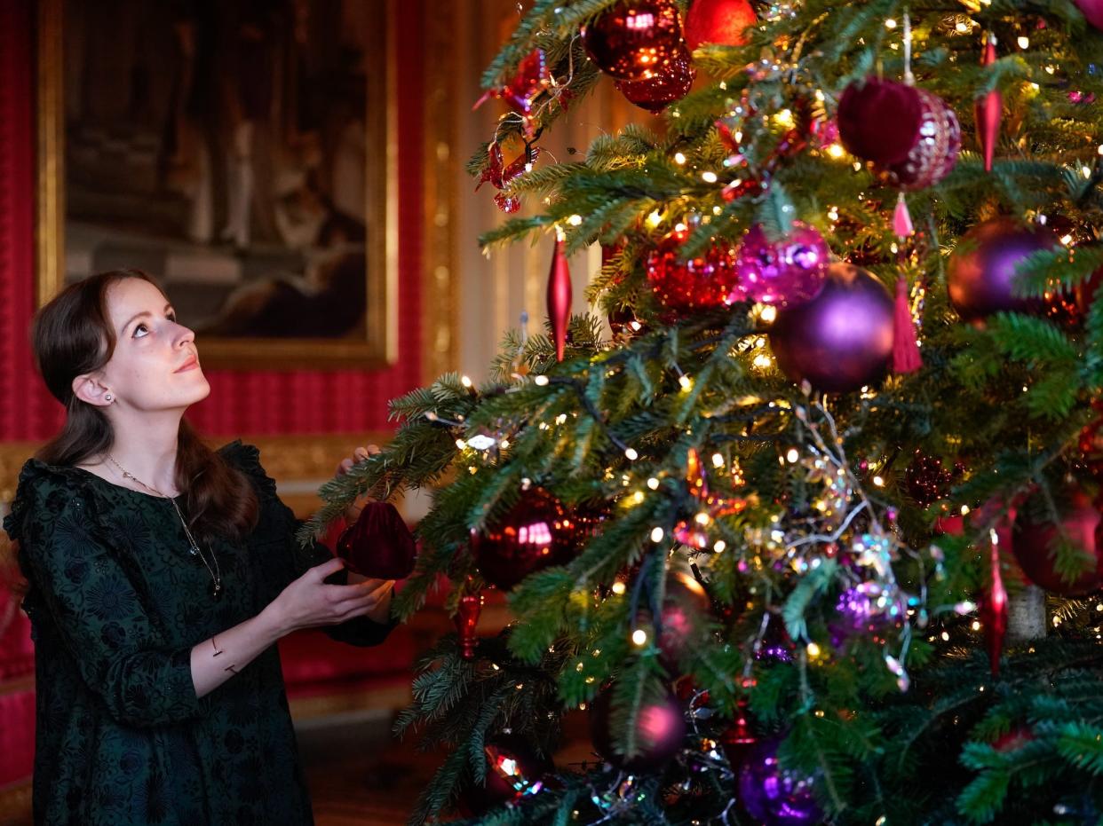 A member of the Royal Collection Trust staff puts the finishing touches to a Christmas tree in the Crimson Drawing Room.